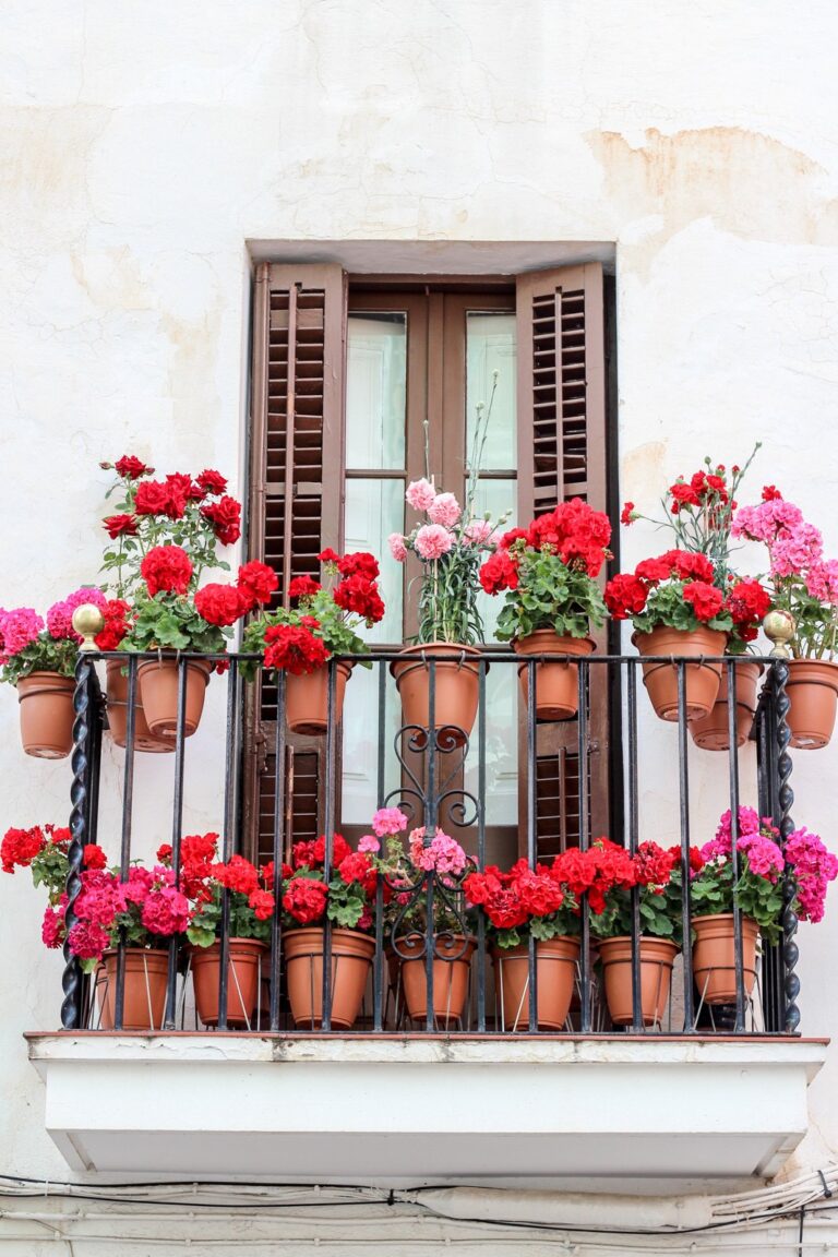 Balcón de Sitges cubierto de macetas de geranios rojos y rosas en flor