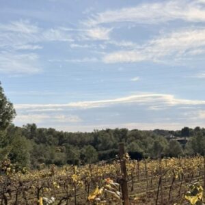 Vineyards of Clos Lentiscus near Sant Pere de Ribes, a romantic getaway near Barcelona